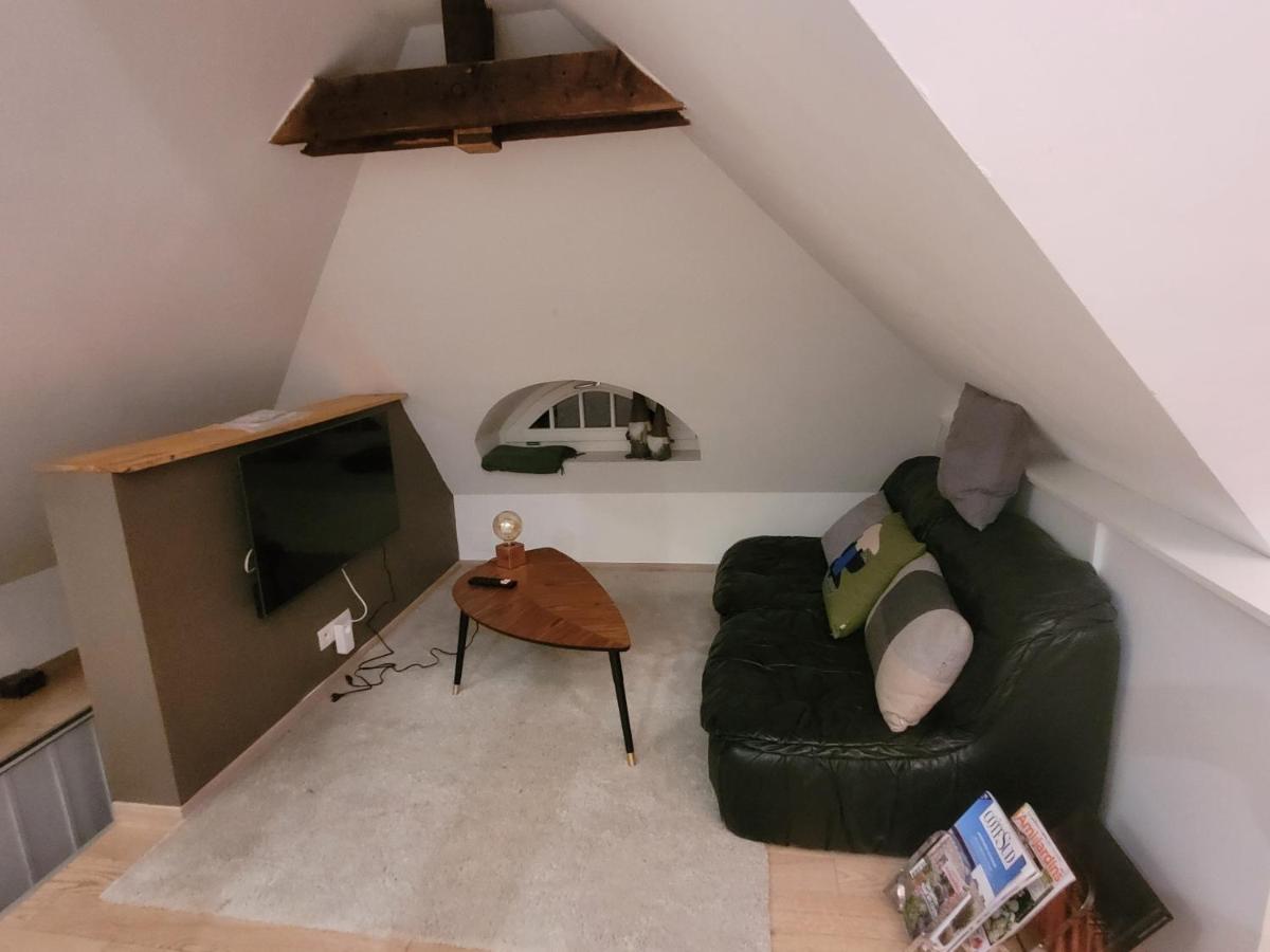 Séjour chez l'habitant 50m2 Au Bord De L'eau A Strasbourg