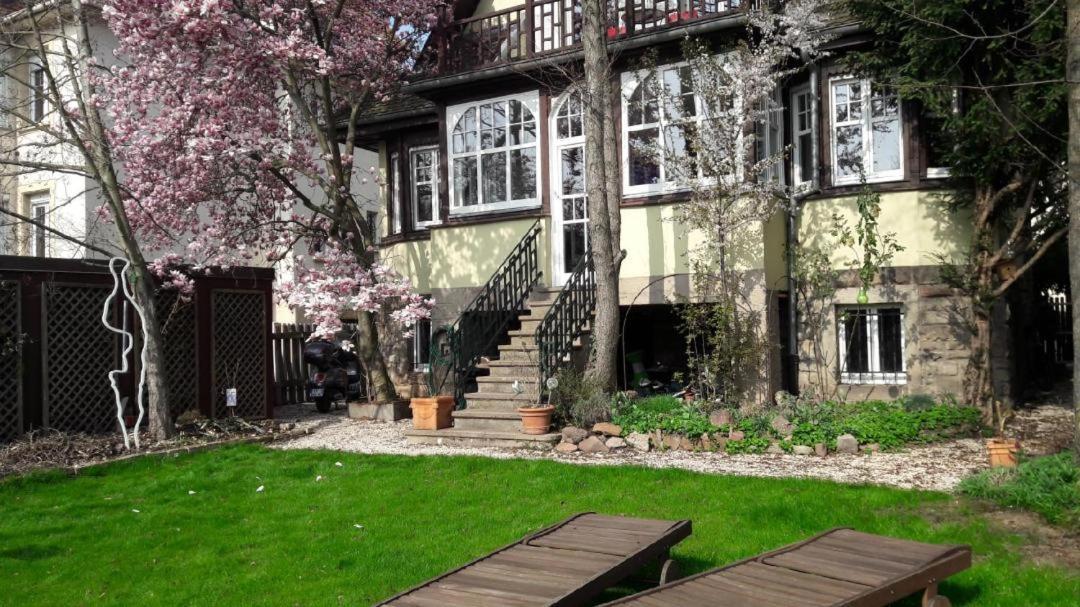 Séjour chez l'habitant 50m2 Au Bord De L'eau A Strasbourg
